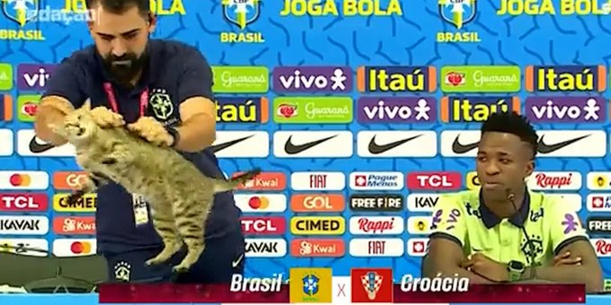 ¡POLÉMICO! La inesperada aparición de un gato en la conferencia de prensa de Brasil que generó un momento incómodo con un asistente de Tite
